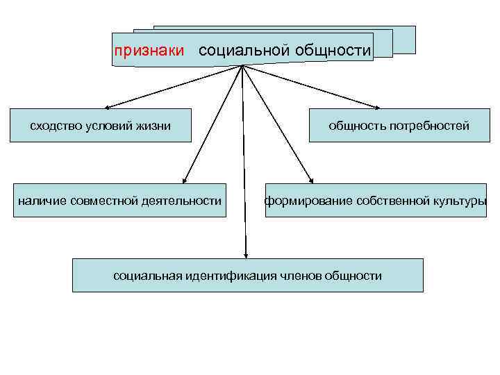 Признаки социальной общности. Виды социальной общности схема. Призаки сроциальноц общ. Перечислите признаки социальной общности.