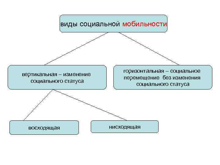 Социальное происхождение. Социальное происхождение виды. Понятие социальное происхождение. Какие социальные происхождения бывают виды. Виды происхождения человека по соц статусу.