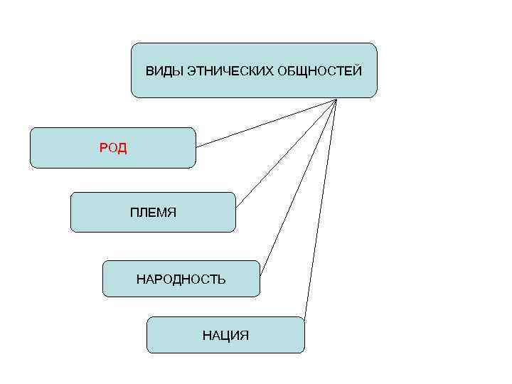 Дополни схему род племя