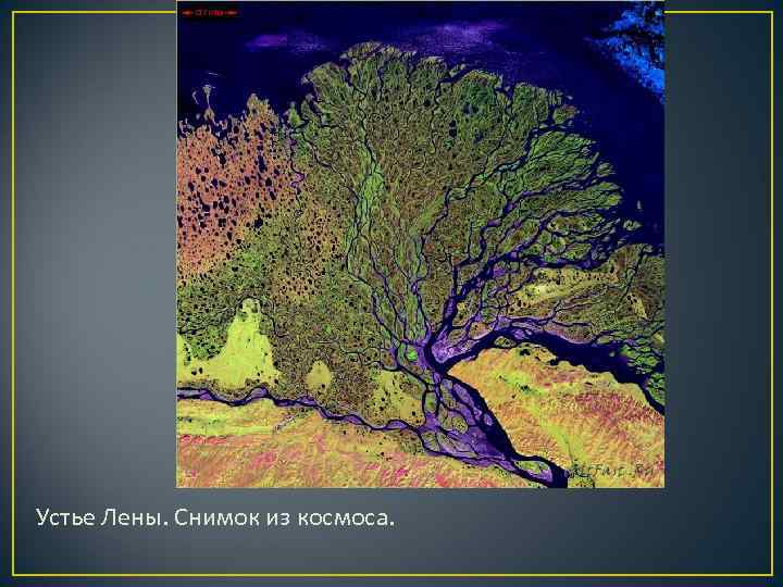 Устье Лены. Снимок из космоса. Устье Лены. Снимок из космоса.
