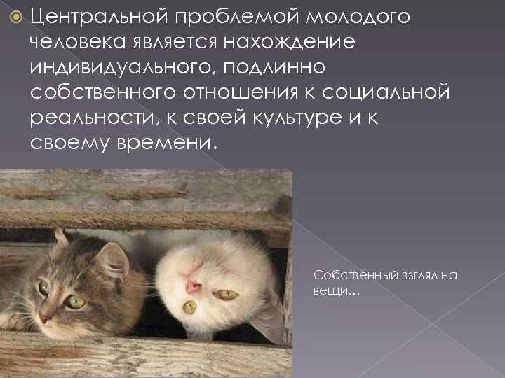   Центральной проблемой молодого человека является нахождение индивидуального, подлинно собственного отношения к социальной