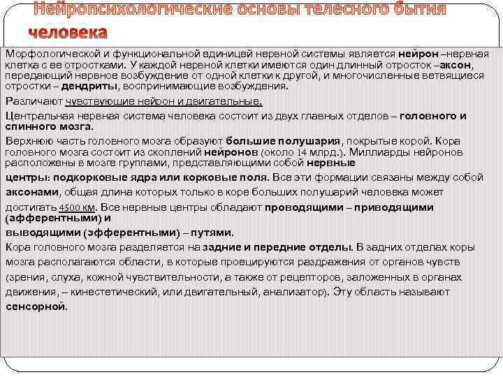 Морфологической и функциональной единицей нервной системы является нейрон –нервная клетка с ее отростками. У