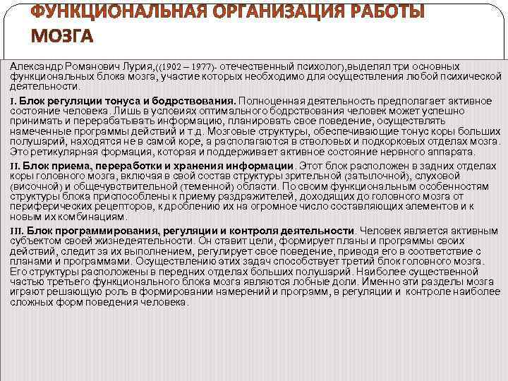 Александр Романович Лурия, ((1902 – 1977)- отечественный психолог), выделял три основных функциональных блока мозга,