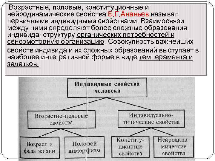 Индивидные свойства человека схема