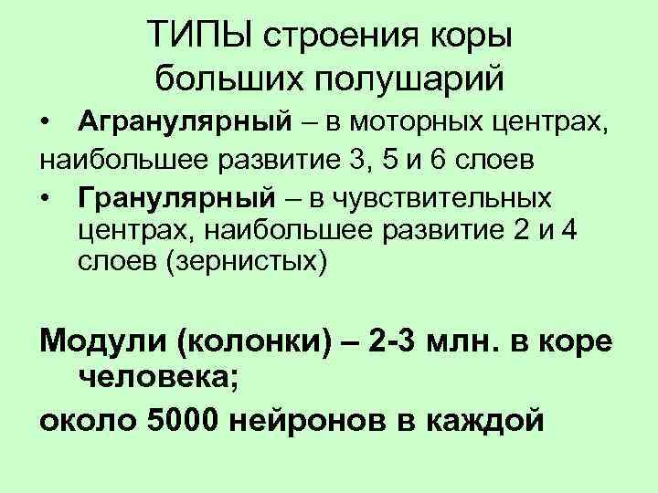 ТИПЫ строения коры больших полушарий • Агранулярный – в моторных центрах, наибольшее развитие 3,