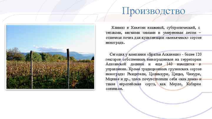 Производство Климат в Кахетии влажный, субтропический, с теплыми, мягкими зимами и Производство Климат в Кахетии влажный, субтропический, с теплыми, мягкими зимами и