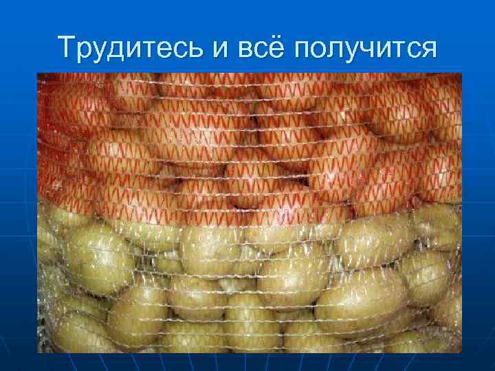 Трудитесь и всё получится 