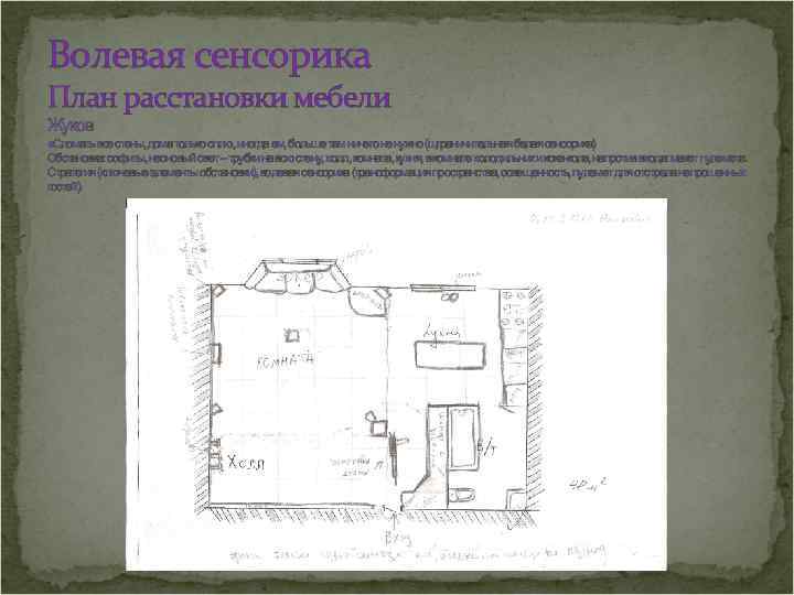 Волевая сенсорика План расстановки мебели Жуков «Сломать все стены, дома только сплю, иногда ем,