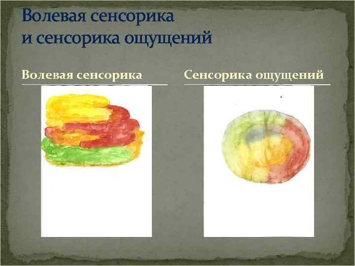 Волевая сенсорика и сенсорика ощущений Волевая сенсорика Сенсорика ощущений 