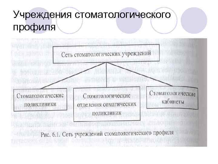 Учреждения стоматологического профиля 