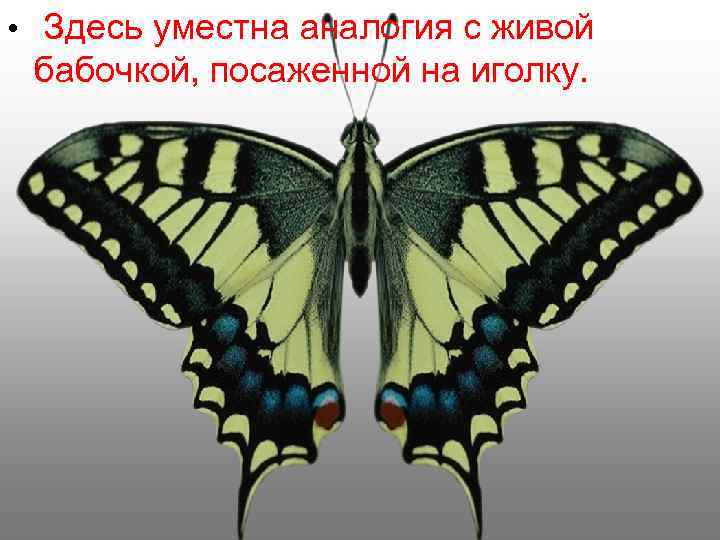  • Здесь уместна аналогия с живой бабочкой, посаженной на иголку. 