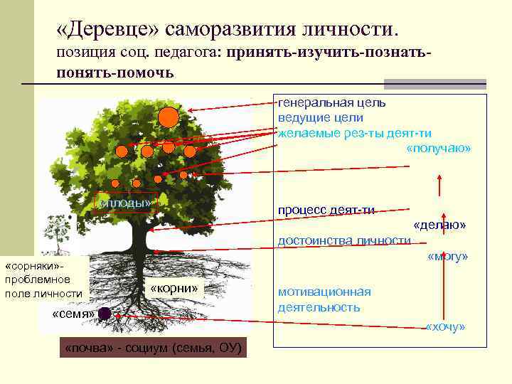 Программа саморазвития личности план