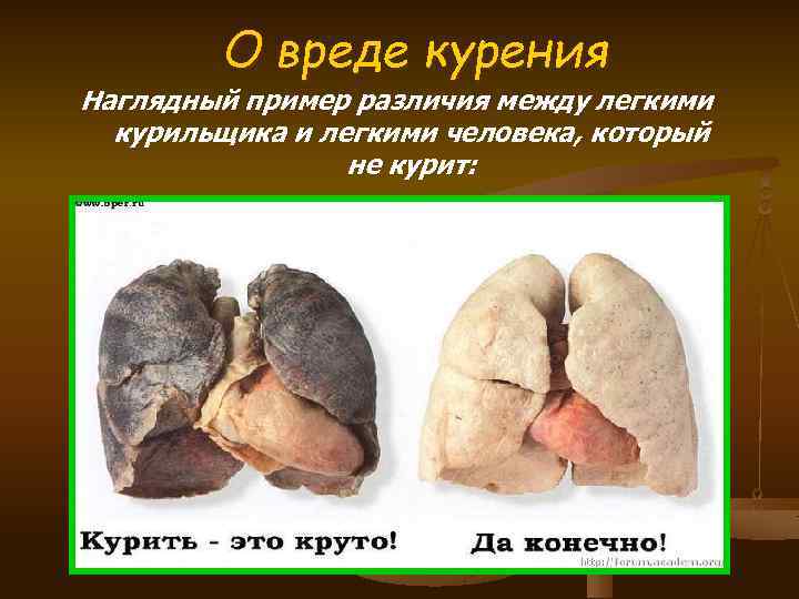 О вреде курения Наглядный пример различия между легкими курильщика и легкими человека, который не