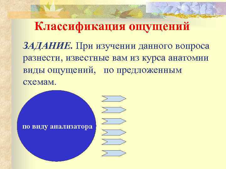 Классификация ощущений ЗАДАНИЕ. При изучении данного вопроса разнести, известные вам из курса анатомии виды