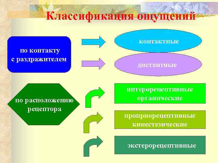 Дистантные ощущения. Классификация ощущений. Классификация ощущений таблица. Дистанционные и контактные ощущения. Виды ощущений по контакту с раздражителем.