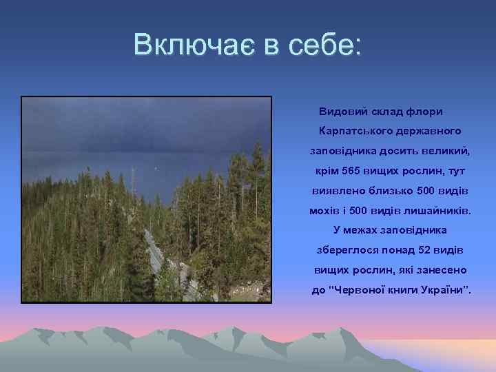 Включає в себе: Видовий склад флори Карпатського державного заповідника досить великий, крім 565 вищих