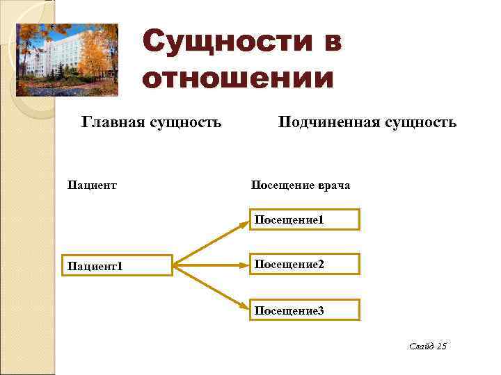 Сущности в отношении Главная сущность Пациент Подчиненная сущность Посещение врача Посещение 1 Пациент1 Посещение