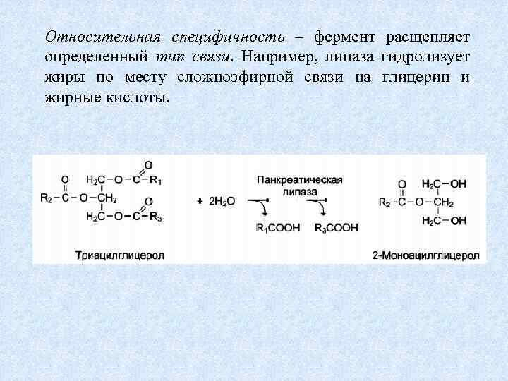 Относительная специфичность – фермент расщепляет определенный тип связи. Например, липаза гидролизует жиры по месту