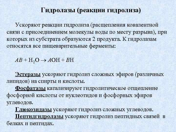 Гидролазы (реакции гидролиза) Ускоряют реакции гидролиза (расщепления ковалентной связи с присоединением молекулы воды по