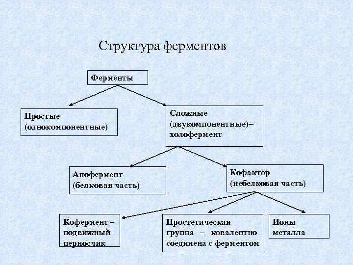 Структура ферментов Ферменты Простые (однокомпонентные) Апофермент (белковая часть) Кофермент – подвижный перносчик Сложные (двукомпонентные)=