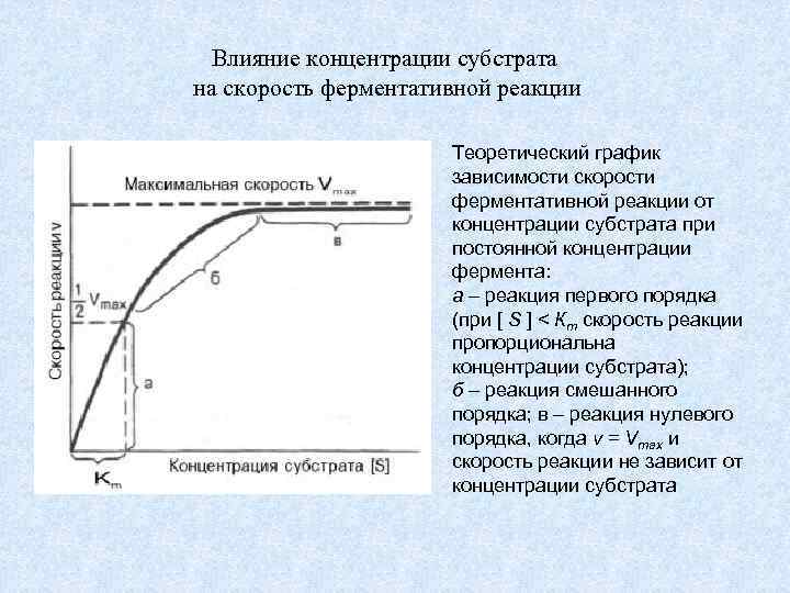 Влияние концентрации субстрата на скорость ферментативной реакции Теоретический график зависимости скорости ферментативной реакции от