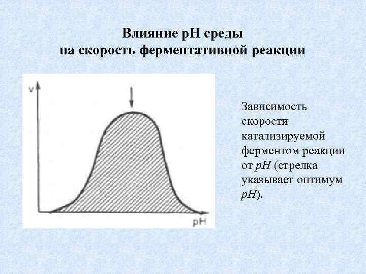 Влияние р. Н среды на скорость ферментативной реакции Зависимость скорости катализируемой ферментом реакции от