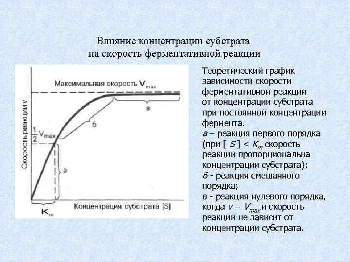 Влияние концентрации субстрата на скорость ферментативной реакции Теоретический график зависимости скорости ферментативной реакции от