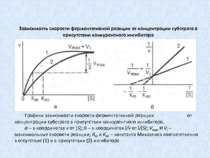Зависимость скорости ферментативной реакции от концентрации субстрата в присутствии конкурентного ингибитора Графики зависимости скорости