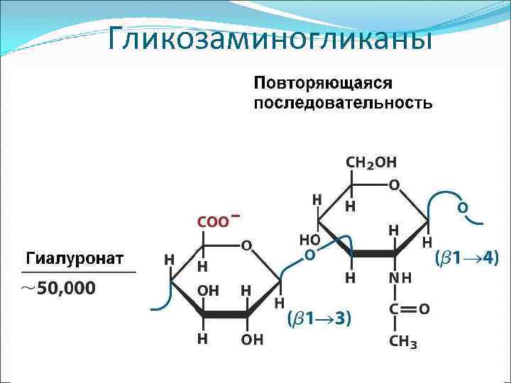 Гликозаминогликаны 