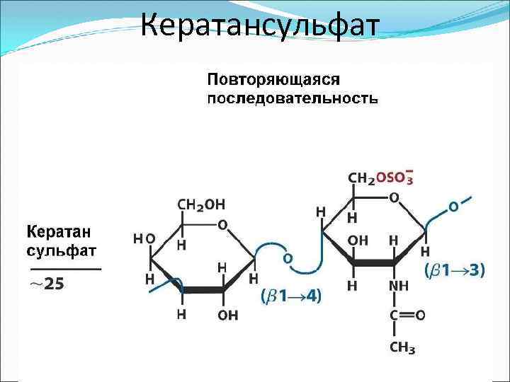 Кератансульфат 