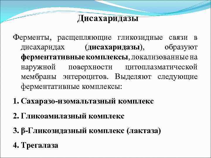 Дисахаридазы Ферменты, расщепляющие гликозидные связи в дисахаридах (дисахаридазы), образуют ферментативные комплексы, локализованные на наружной