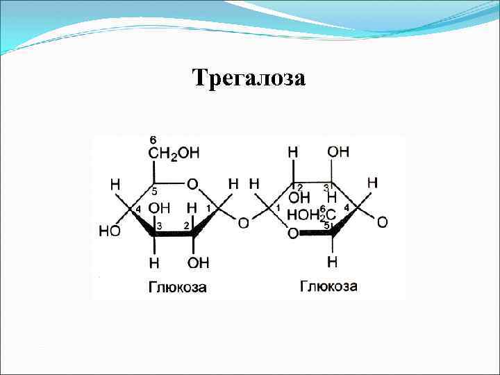 Схема синтеза трегалозы