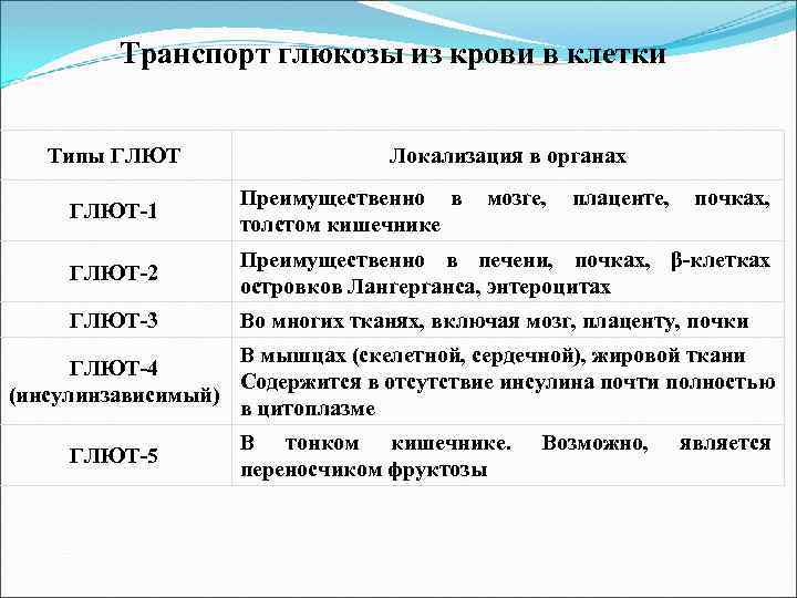 Транспорт глюкозы из крови в клетки Типы ГЛЮТ Локализация в органах ГЛЮТ-1 Преимущественно в