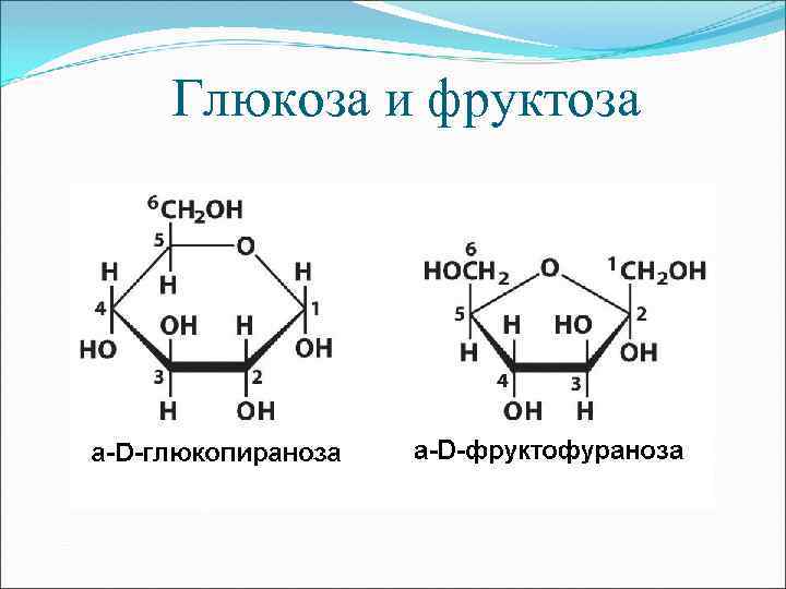 Глюкоза и фруктоза 