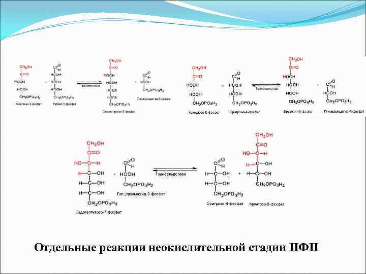 Отдельные реакции неокислительной стадии ПФП 