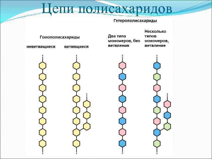 Цепи полисахаридов 