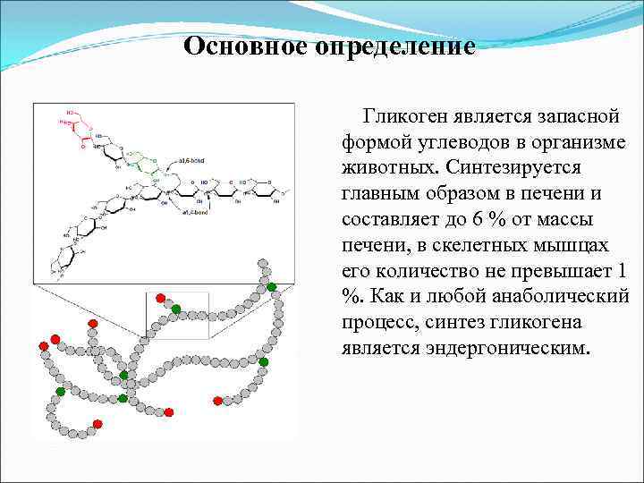 Основное определение Гликоген является запасной формой углеводов в организме животных. Синтезируется главным образом в