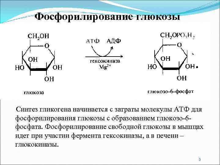 По какой схеме был осуществлен первый искусственный синтез углеводов