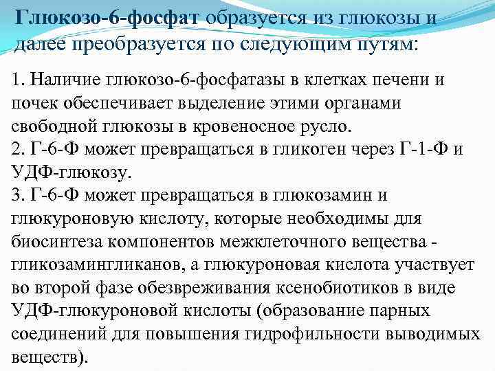 Глюкозо-6 -фосфат образуется из глюкозы и далее преобразуется по следующим путям: 1. Наличие глюкозо
