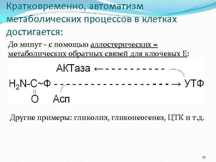 Кратковременно, автоматизм метаболических процессов в клетках достигается: До минут - с помощью аллостерических =
