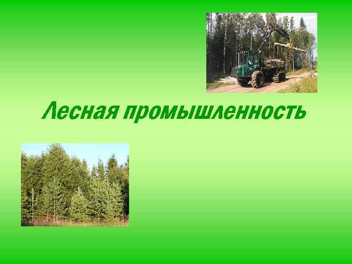 Лесная промышленность 