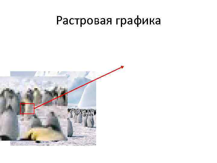 Растровая графика 