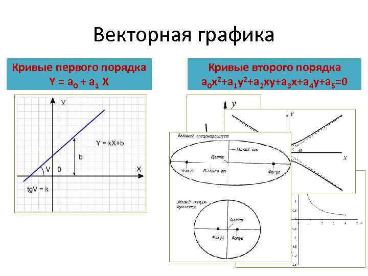 Первый крив