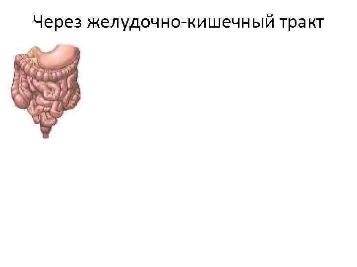 Через желудочно-кишечный тракт 