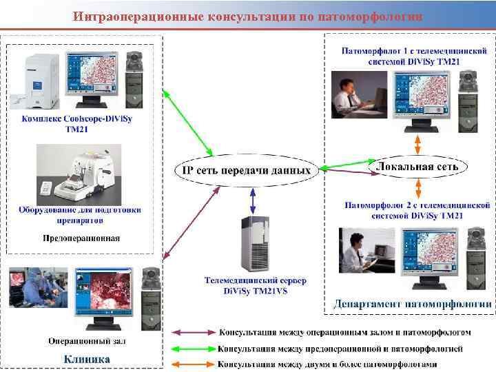 Интраоперационные консультации по патоморфологии 41 Хисамутдинов А. Н. , КГМУ 