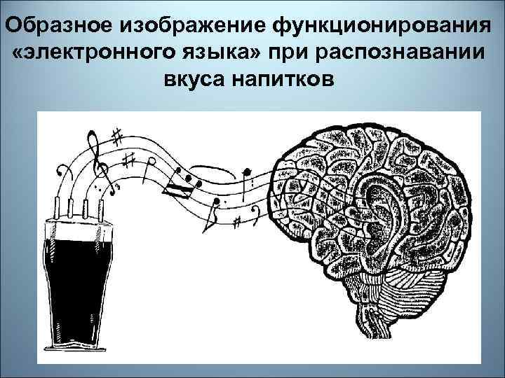 Образное изображение функционирования «электронного языка» при распознавании вкуса напитков 