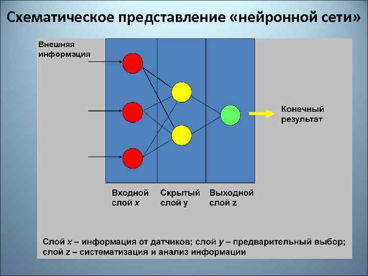 Схематическое представление «нейронной сети» Внешняя информация 