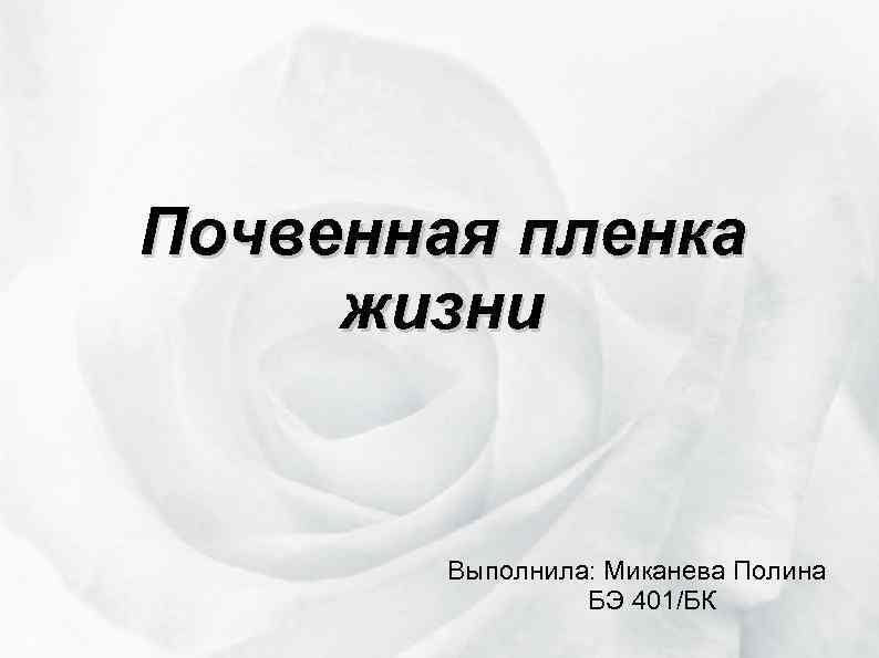 Почвенная пленка жизни Выполнила: Миканева Полина БЭ 401/БК 