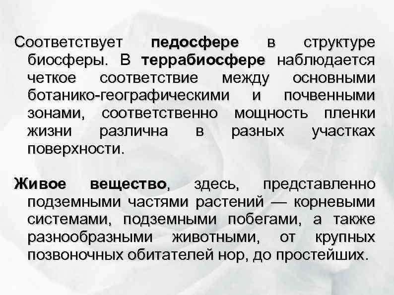 Соответствует педосфере в структуре биосферы. В террабиосфере наблюдается четкое соответствие между основными ботанико-географическими и