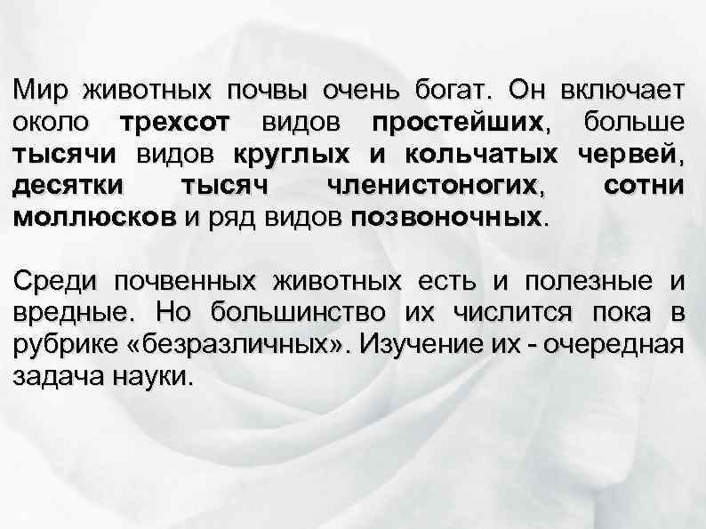 Мир животных почвы очень богат. Он включает около трехсот видов простейших, больше тысячи видов